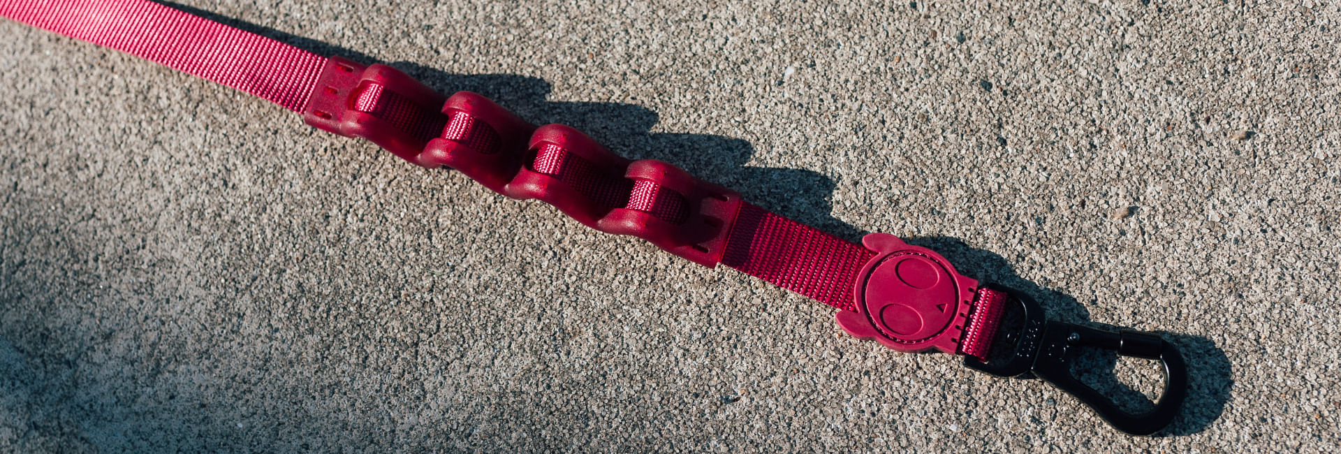 Guia com Amortecedor para Cachorros Bordeau | Lifestyle Images