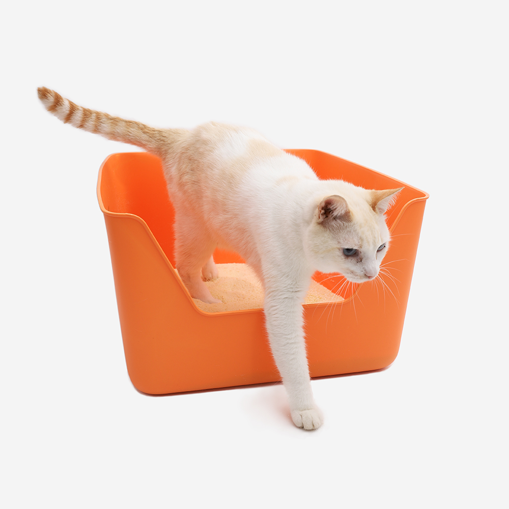 Caixa de Areia Higiênica Cansei de Ser Gato - Amarela | Imagem 1