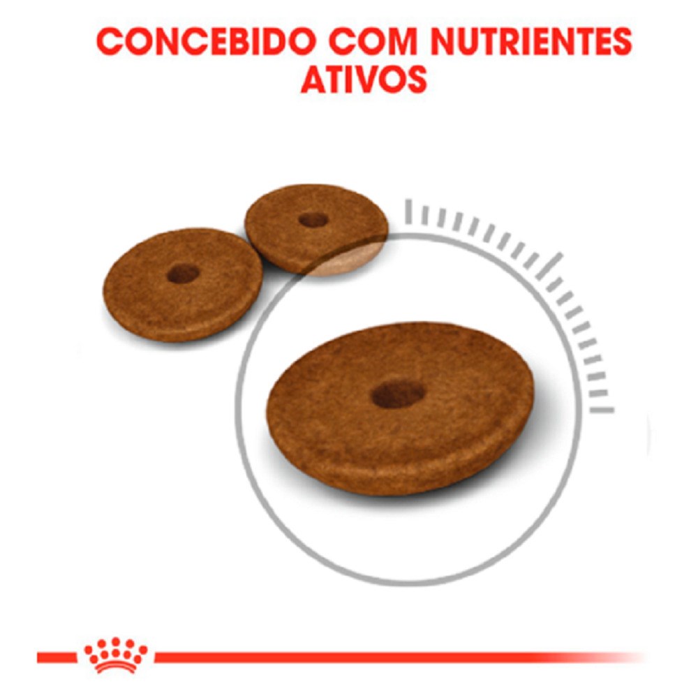 Ração Royal Canin Digestive Care Cuidado Digestivo para Gatos Adultos