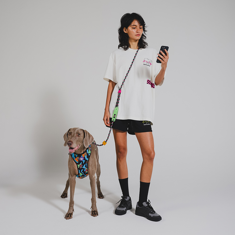 Peitoral para Cachorros Air Mesh Ajustável MTV