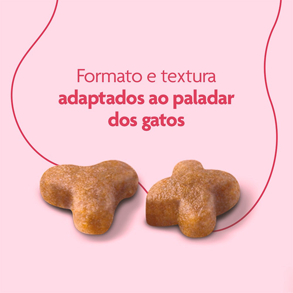 Ração Royal Canin Premium Cat para Gatos Filhotes