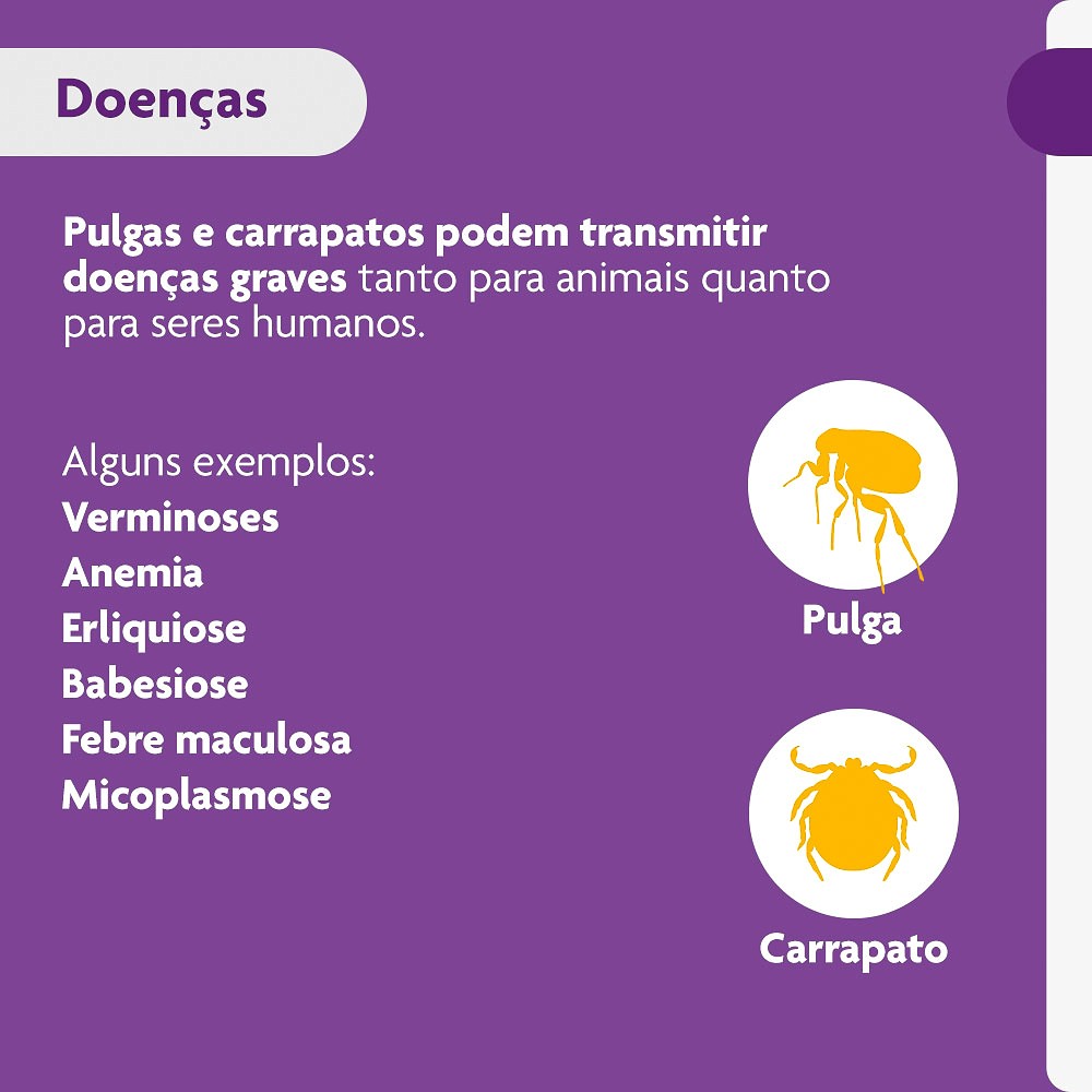 Antipulgas e Carrapatos Bravecto para Cães de 10kg a 20kg - 500mg