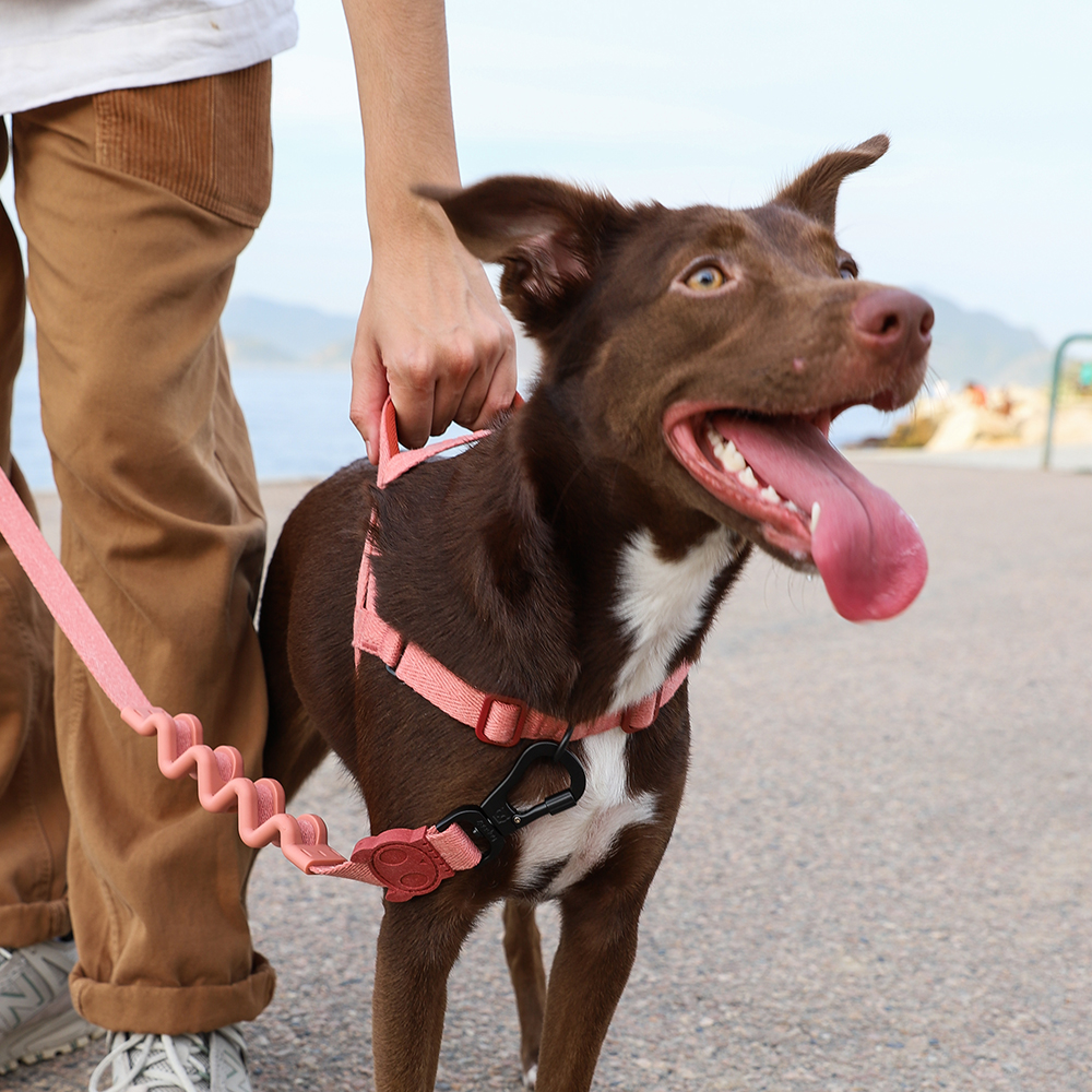Peitoral Antipuxão SofterWalk para Cachorros Naturals Canyon