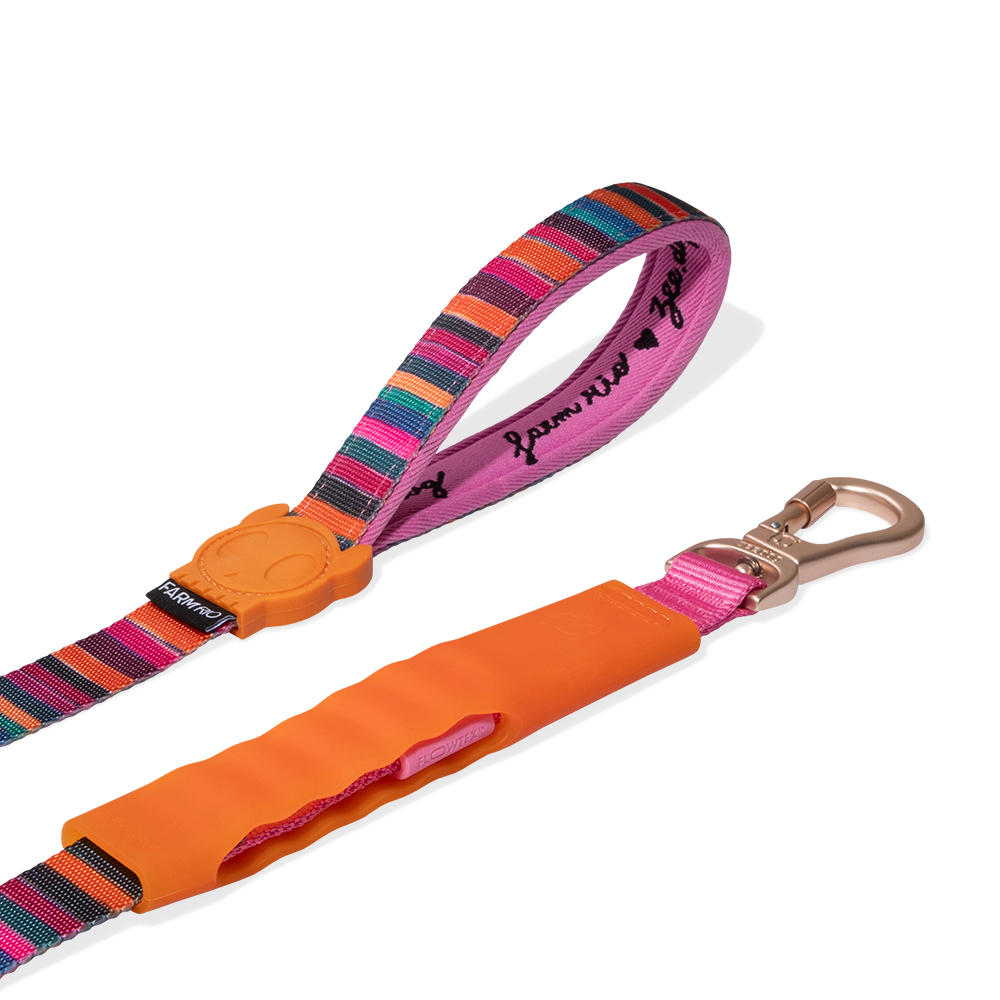 Guia para Cachorros Airleash FARM Rio Selva
