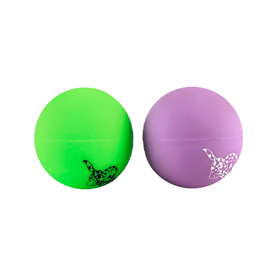 Brinquedo Líder Pet Bola de Adestramento para Cães - Cores Sortidas P