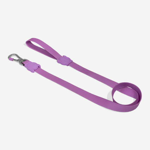 Guia para Cachorros Neopro Ultra Violet | Zee.Dog