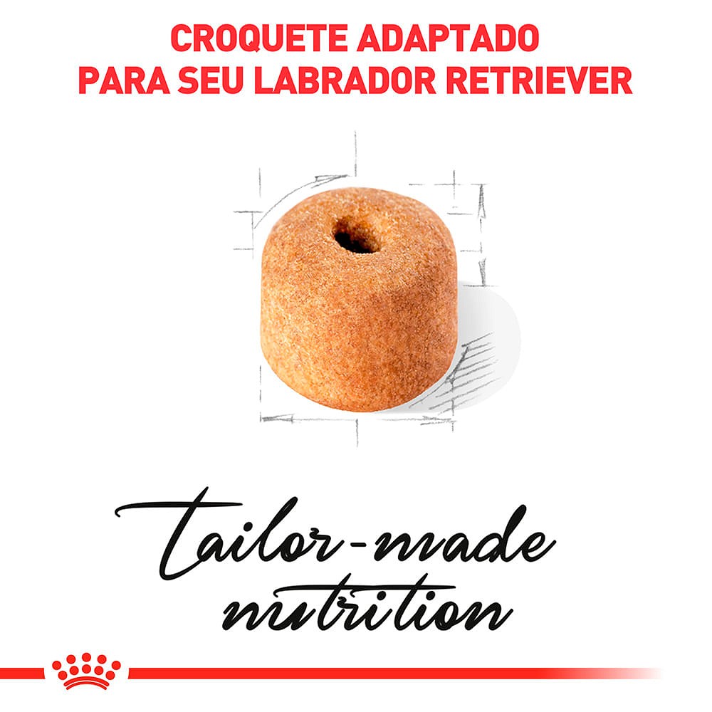 Ração Royal Canin para Cães Adultos da Raça Labrador Retriever