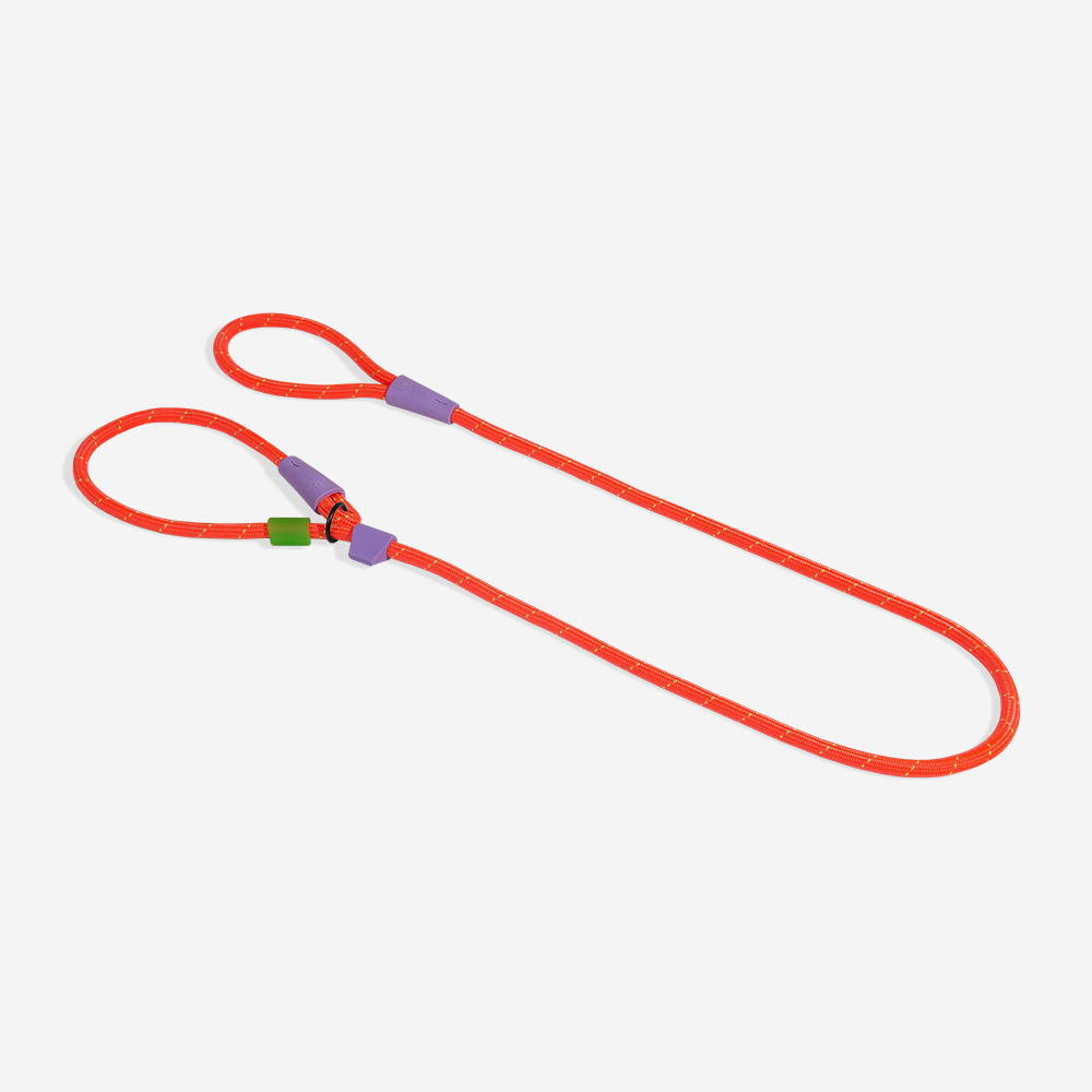 Guia Unificada Slip-n-Lock para Cachorros Everest | Imagem 0