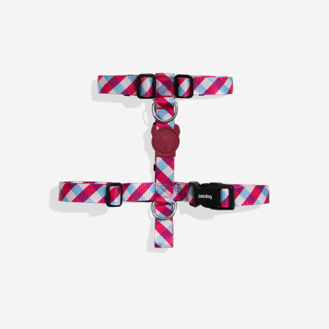 Peitoral para Cachorros H Gummy M