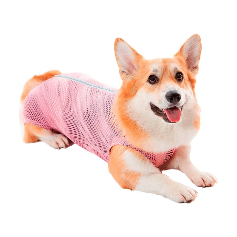 Roupa Cirúrgica Pet Med Ultra Light Regular Ball Rosa para Cães