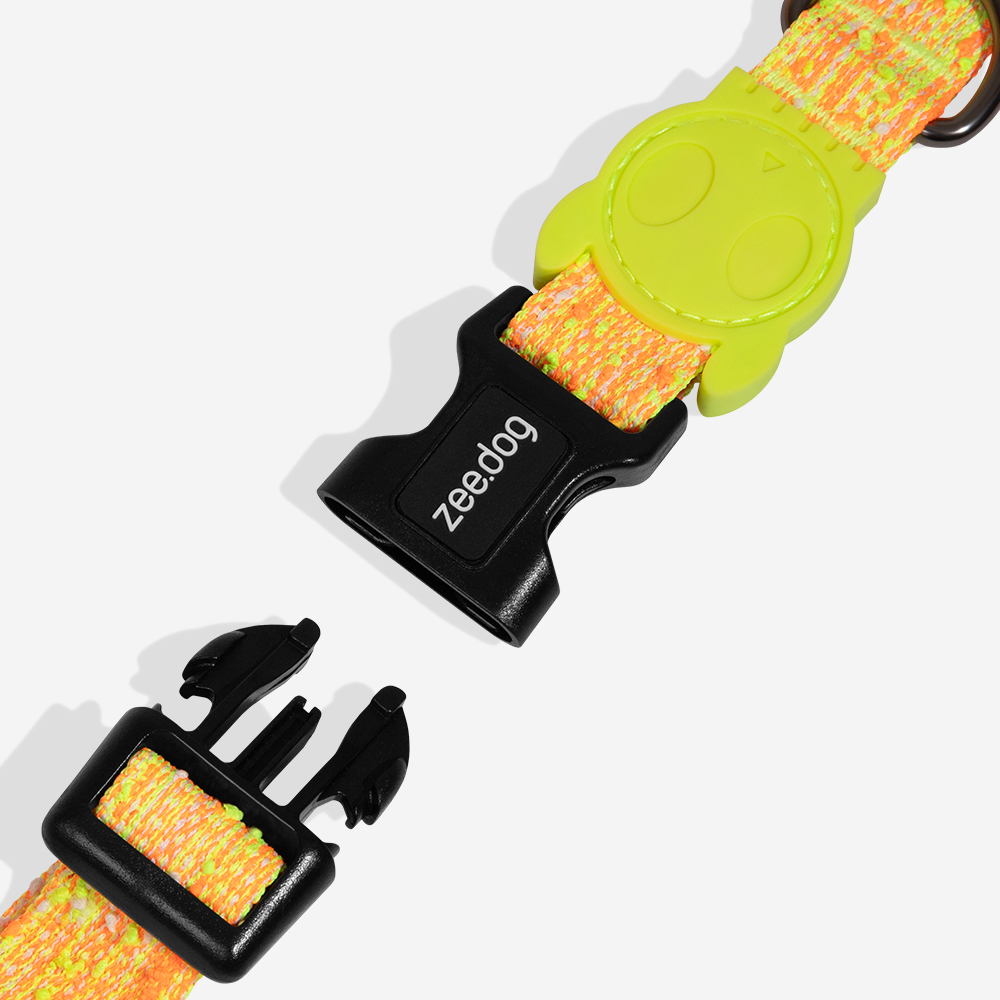 Coleira para Cachorros Fuse Bikr | Imagem 2