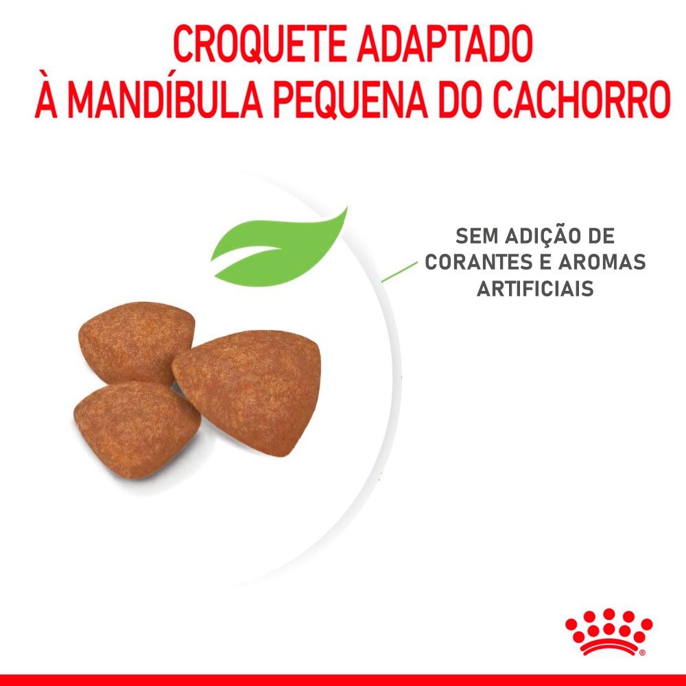 Ração Royal Canin Puppy Mini Indoor para Cães Filhotes de Porte Pequeno