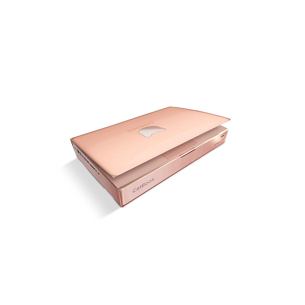 Arranhador Lampet Catbook Rose Gold para Gatos