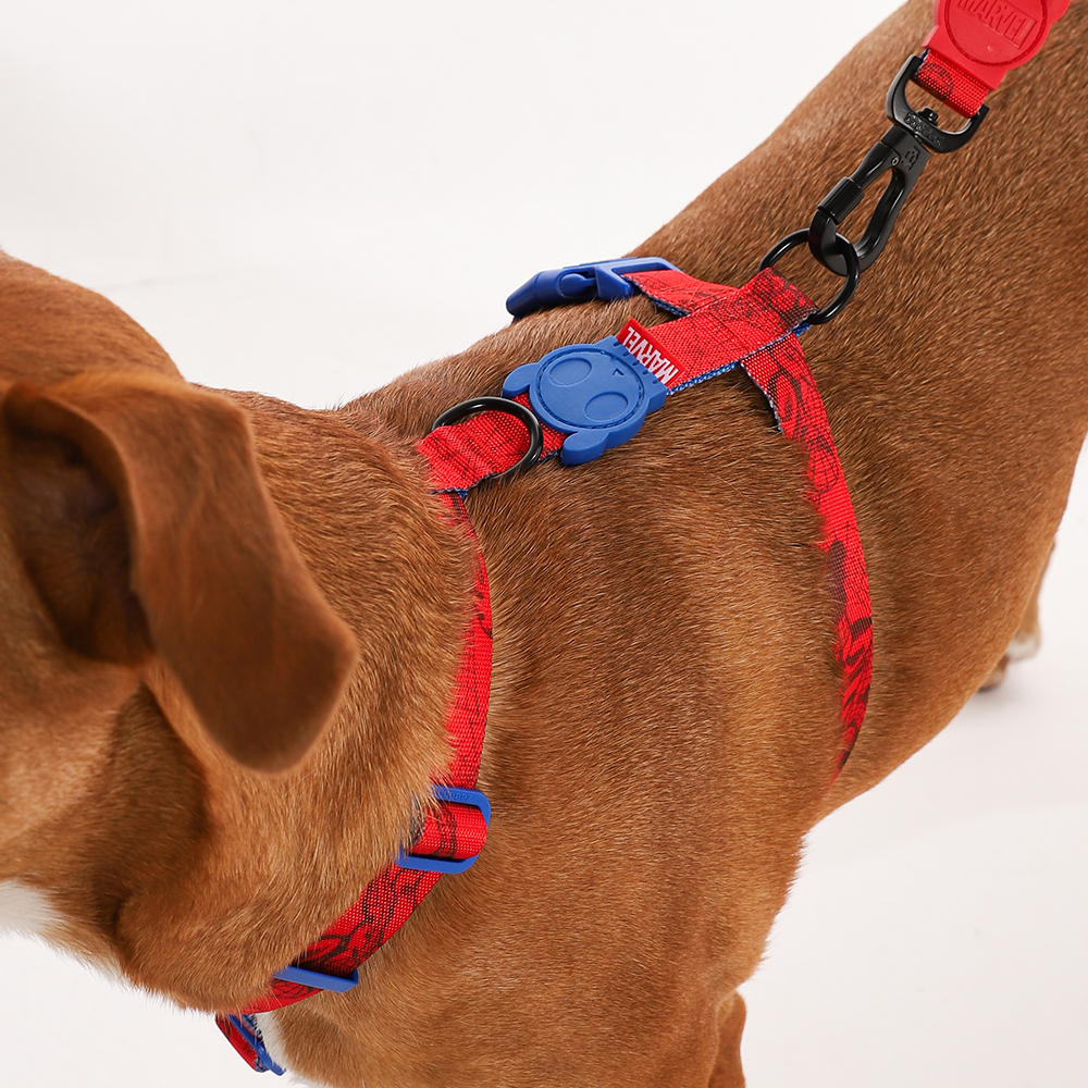 Peitoral para Cachorros H Marvel Homem Aranha | Imagem 3