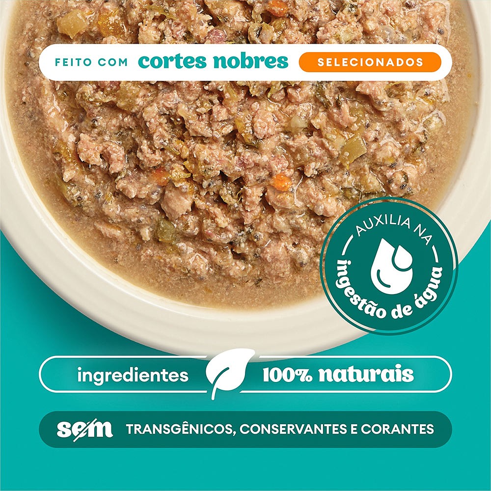 Sachê Natural Pet Delícia Ragu de Frango com Legumes para Cães