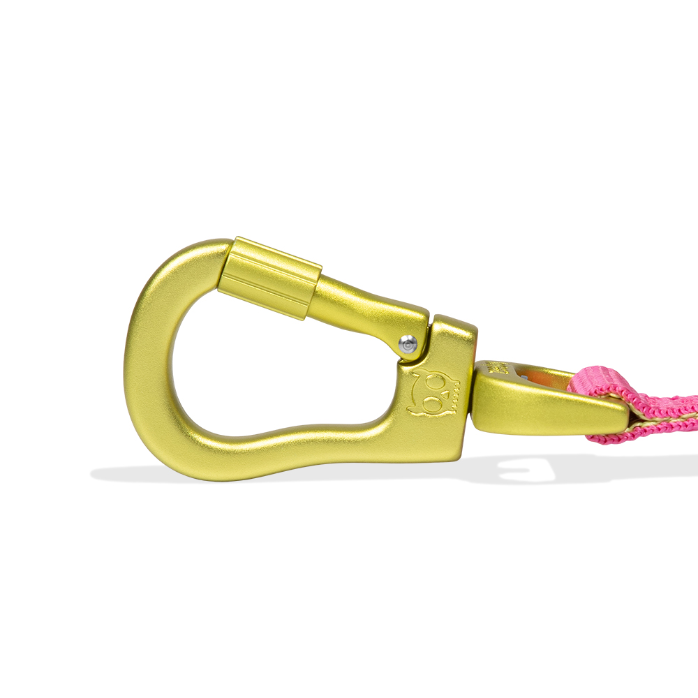Guia para Cachorros Airleash H3D Jelly 