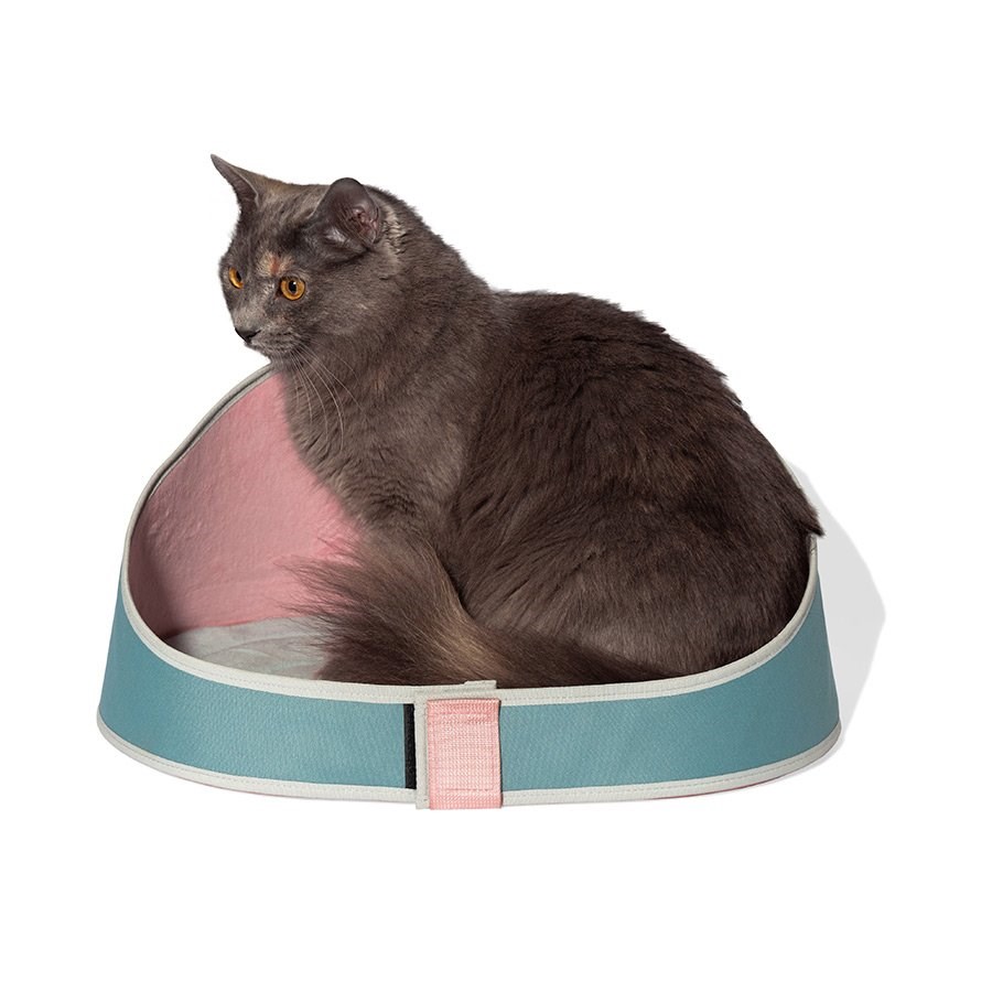 Cama para Gatos Kombucha 