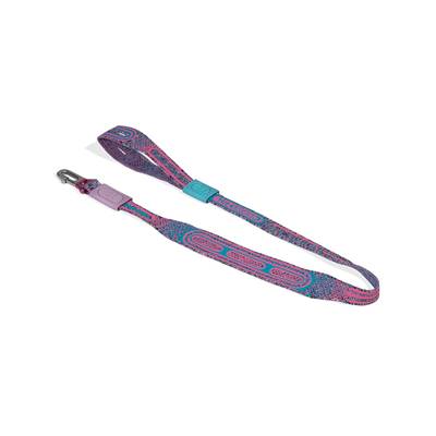 Guia para Cachorros NitLeash Candy U