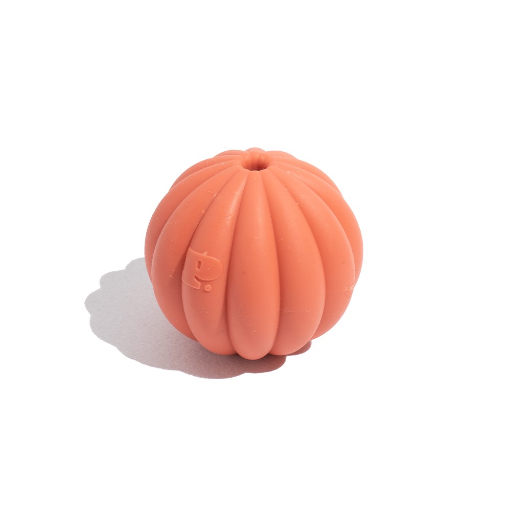 Brinquedo para Cachorros Tangerina Vermelho 