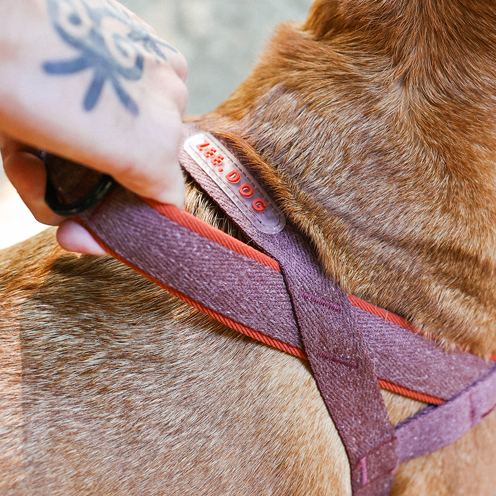Peitoral Antipuxão SofterWalk para Cachorros Naturals Cocoa | Zee