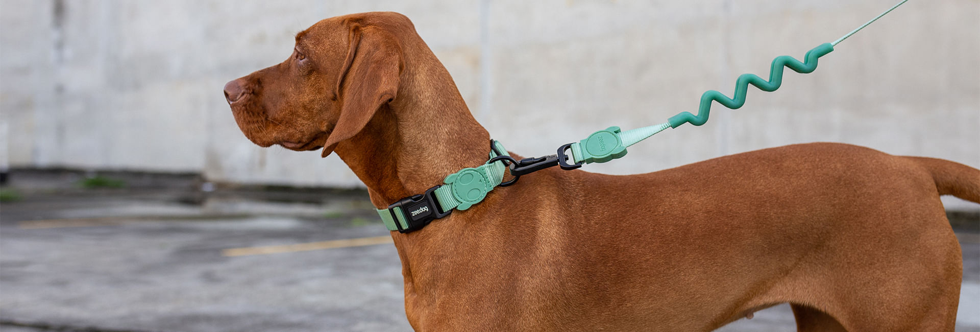 Peitoral para Cachorros Antipuxão Army Green | Lifestyle Images
