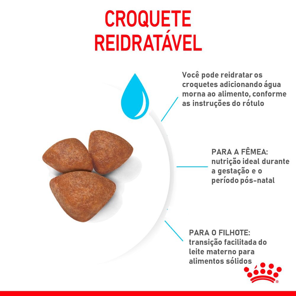 Ração Royal Canin Starter Mother e Baby para Cães de Porte Mini
