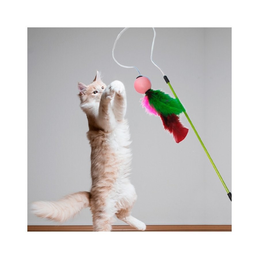 Brinquedo Plumas e Penas Varinha Fishing Ball para Gatos - Cores Sortidas
