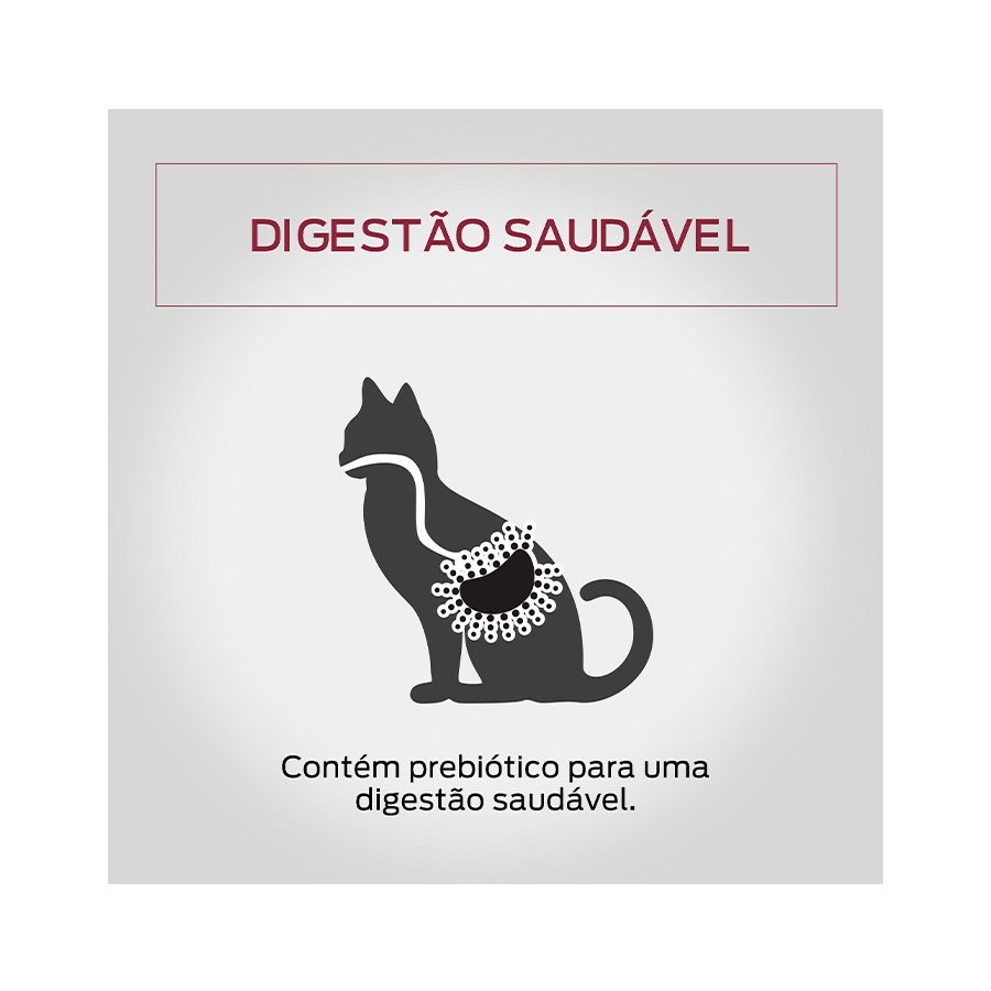 Ração Pro Plan Sachê Adult para Gatos Adultos sabor Salmão ao Molho