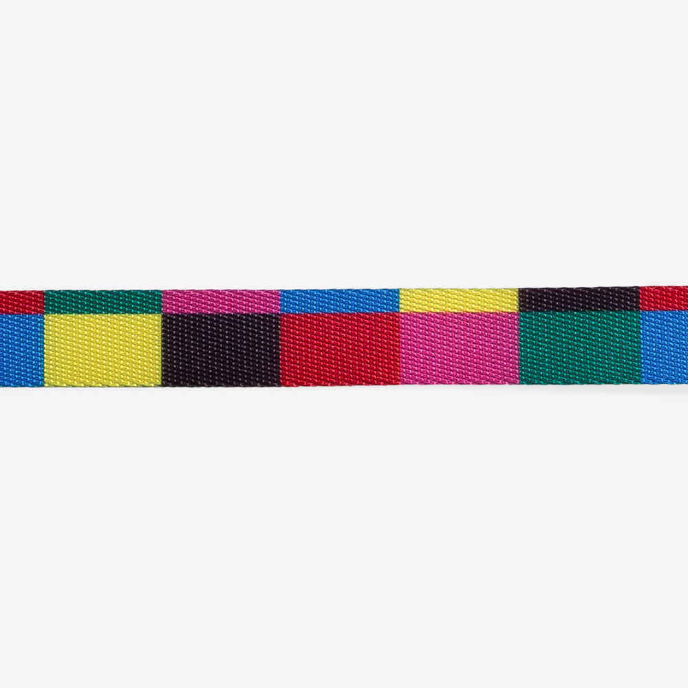 Coleira para Cachorros Colorbless | Imagem 3