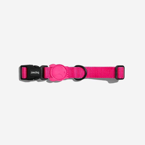 Coleira para cachorros Pink Led | Zee.Dog