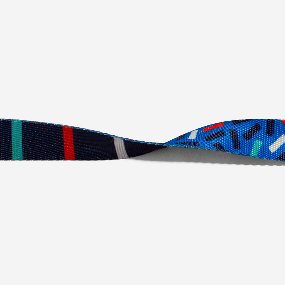 Guia para Cachorros Atlanta | Imagem 3