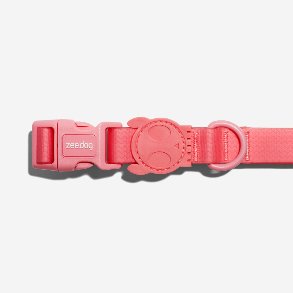 Coleira para Cachorros Neopro Bubblegum | Imagem 1