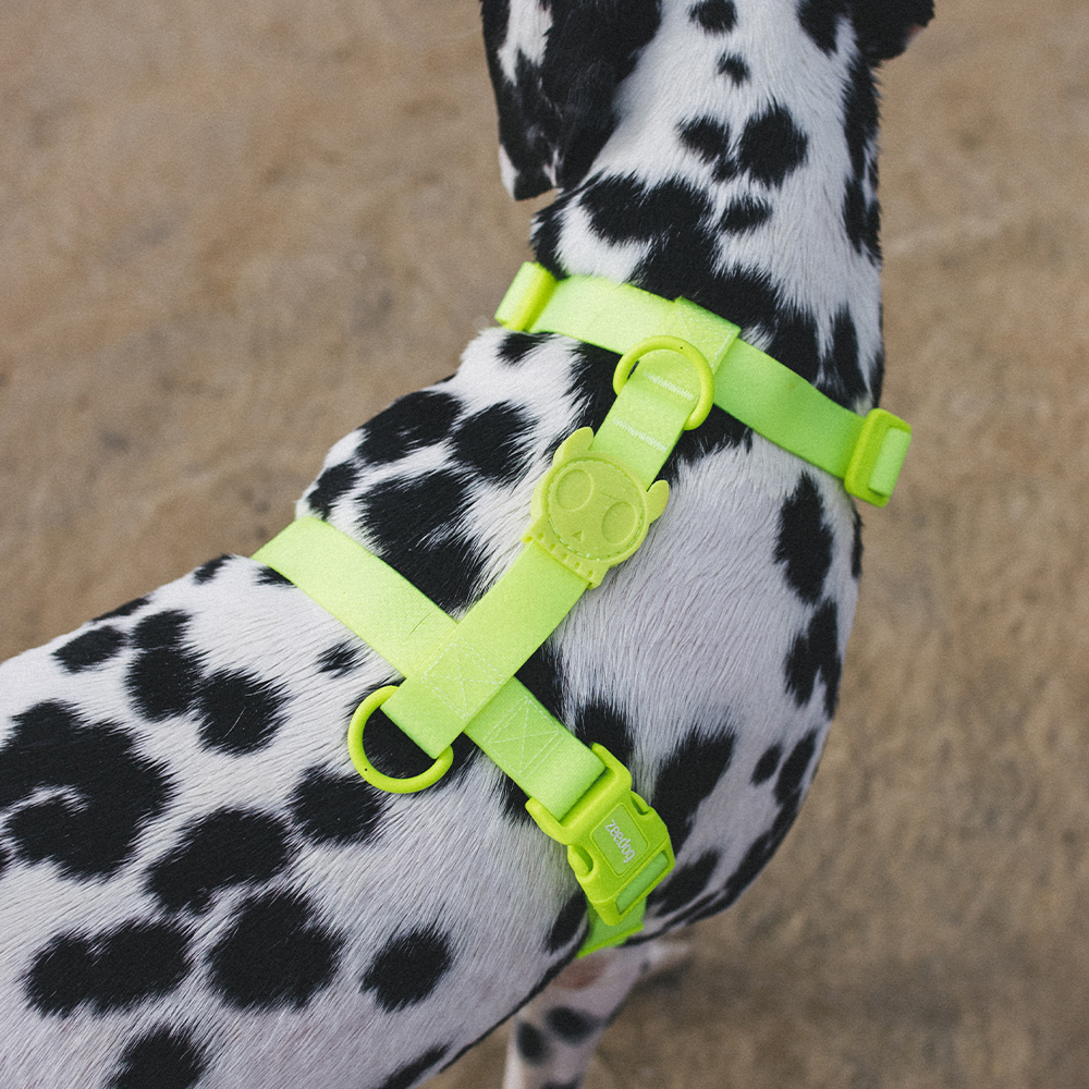 Peitoral para Cachorros H Neopro Verde