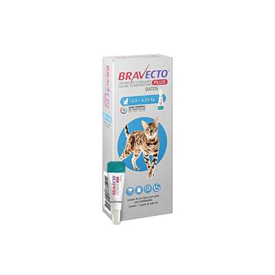 Antipulgas Bravecto Transdermal Plus para Gatos - 1 Pipeta de 250mg 2,8 - 6,25kg
