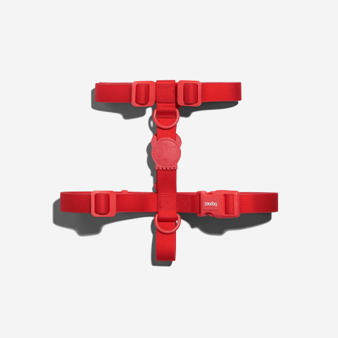 Peitoral para Cachorros H Neopro Coral | Zee.Dog
