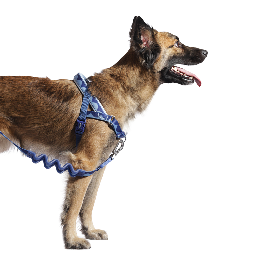 Peitoral Antipuxão SofterWalk para Cachorros Swell