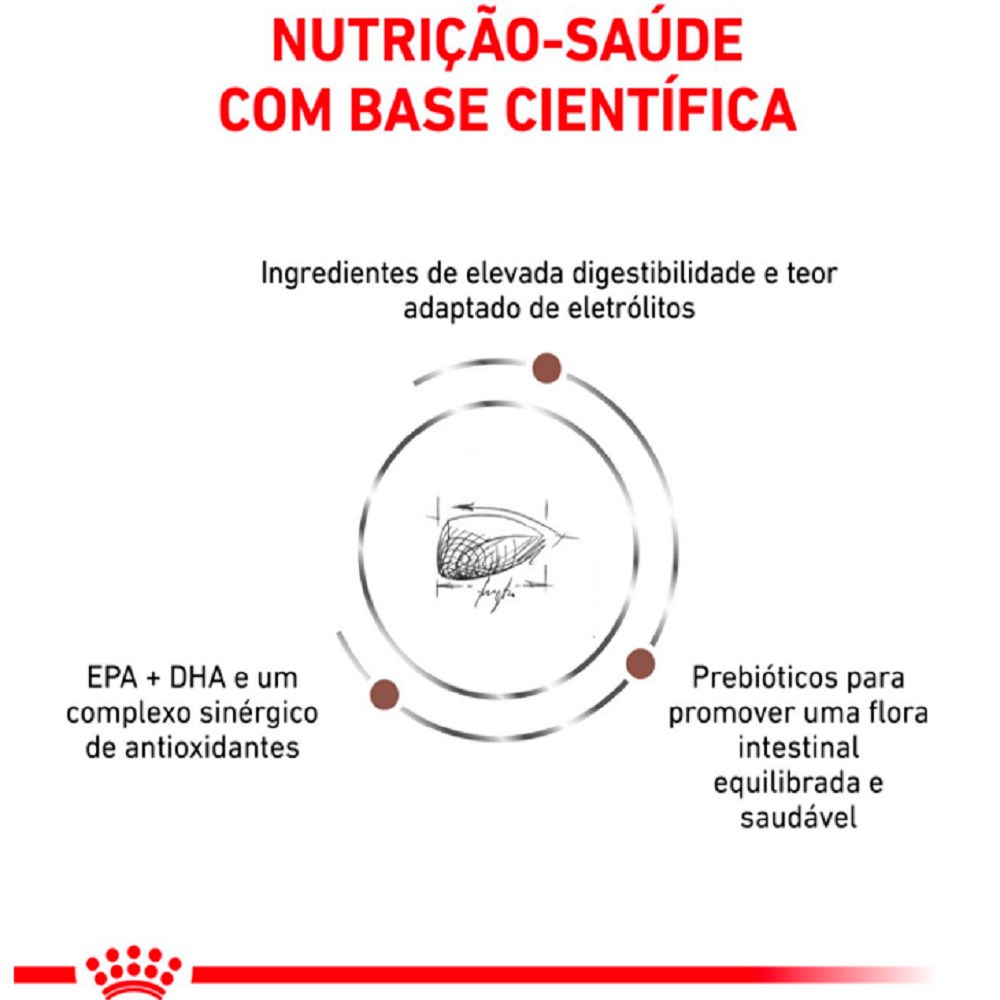 Ração Royal Canin Veterinary Diet Gastro Intestinal para Gatos