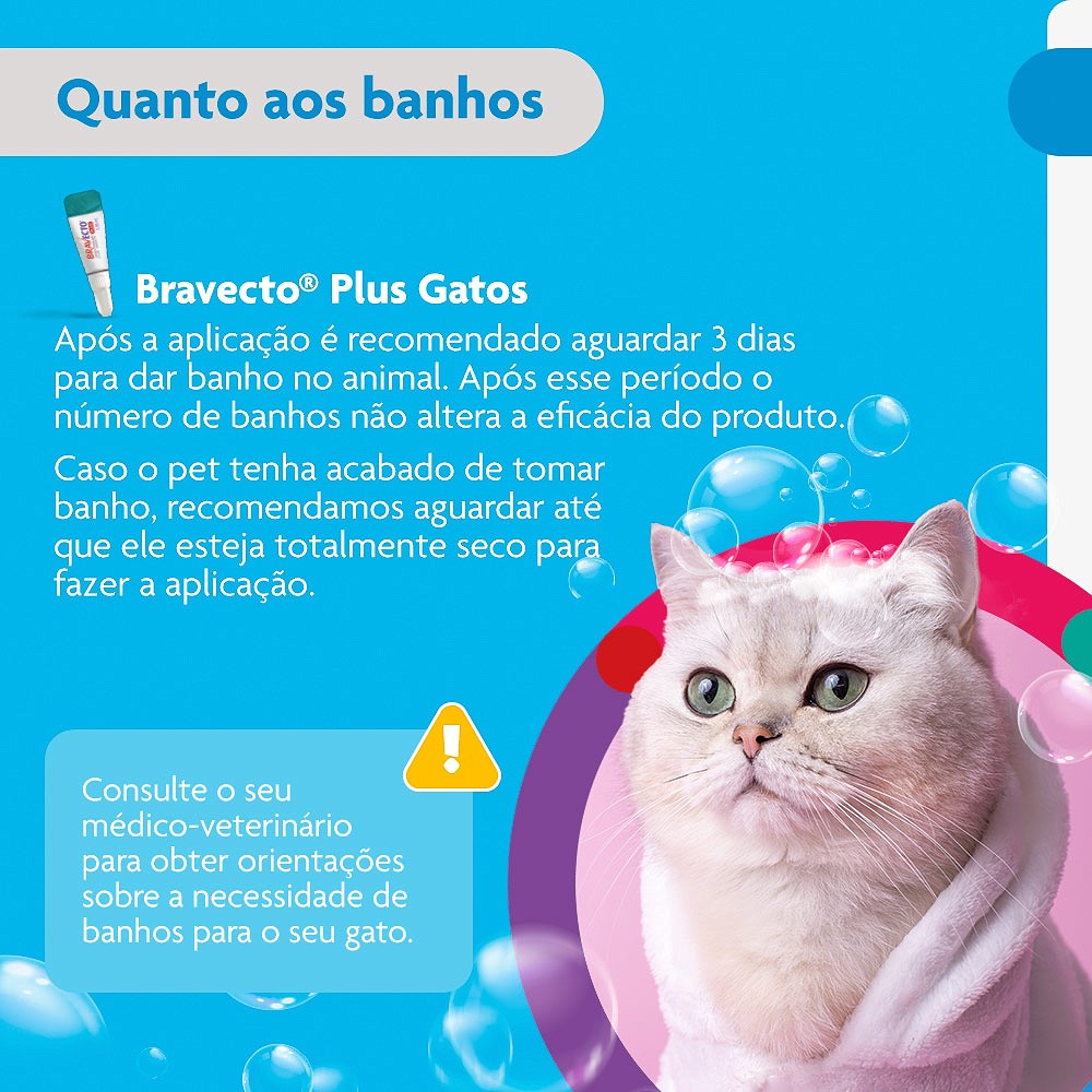 Antipulgas Bravecto Transdermal Plus para Gatos - 1 Pipeta de 500mg