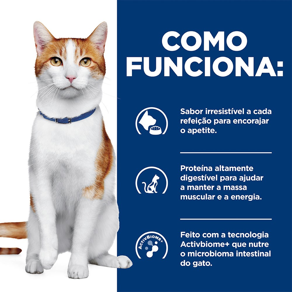 Ração Hill's Prescription Diet ONC Care Cuidado Oncológico para Gatos