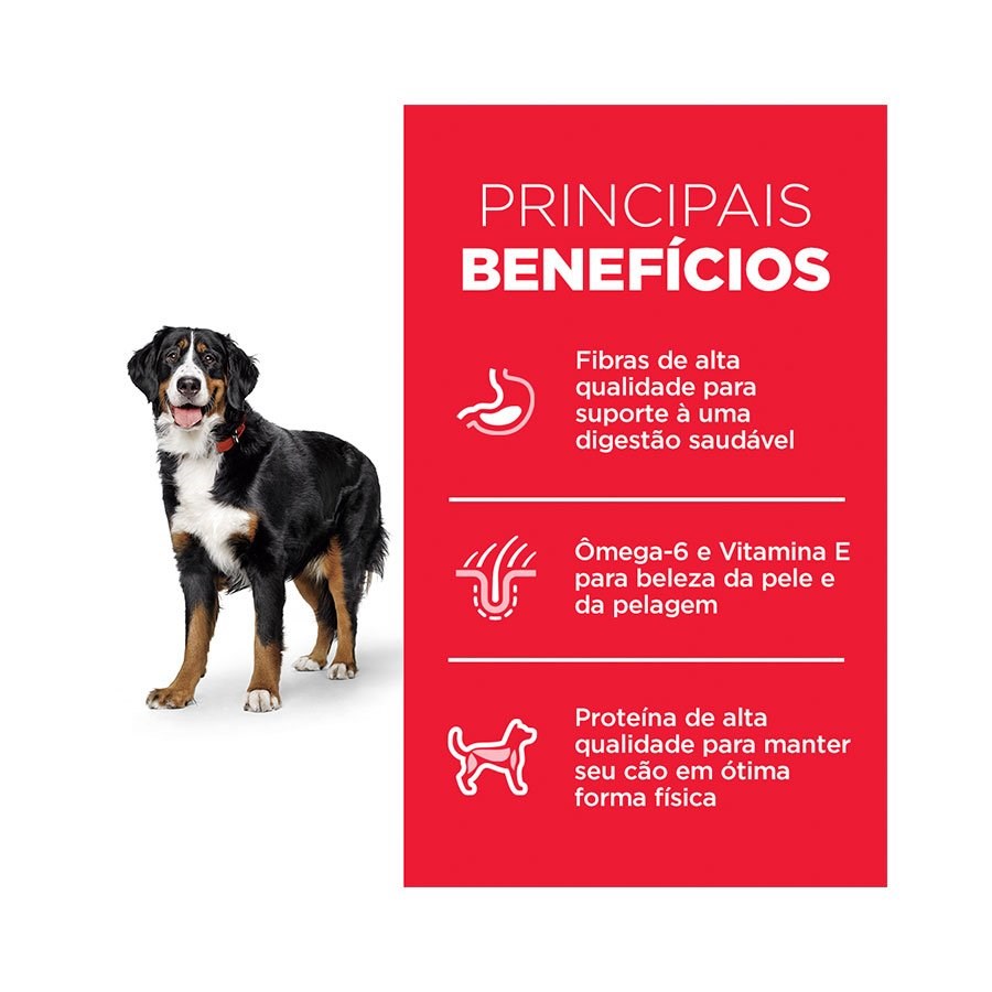 Ração Hill's Science Diet para Cães Adultos Raças Grandes