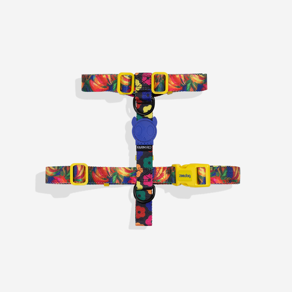 Peitoral para Cachorros H FARM Rio Samba | Imagem 0