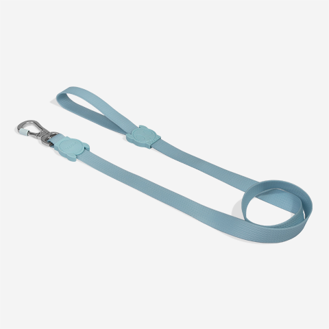 Guia para Cachorros Neopro Cloudy | Zee.Dog