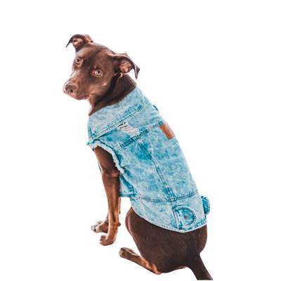 Jaqueta Bendog Jeans Destroyed para Cães G