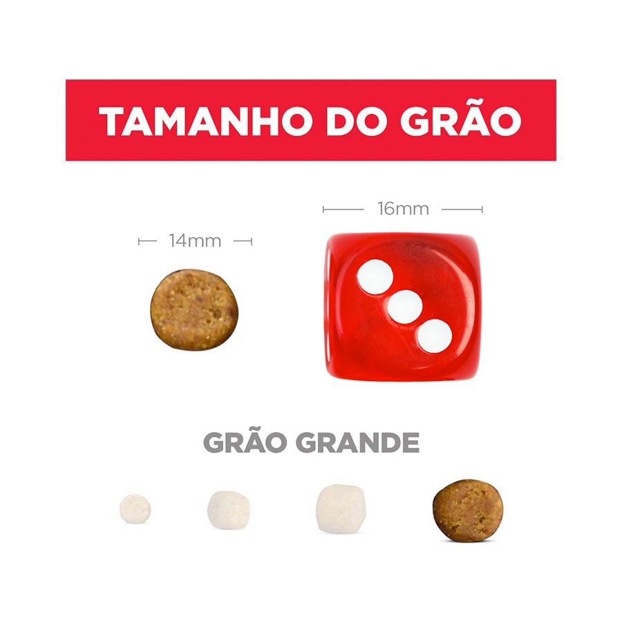 Ração Hill's Science Diet para Cães Adultos Raças Grandes