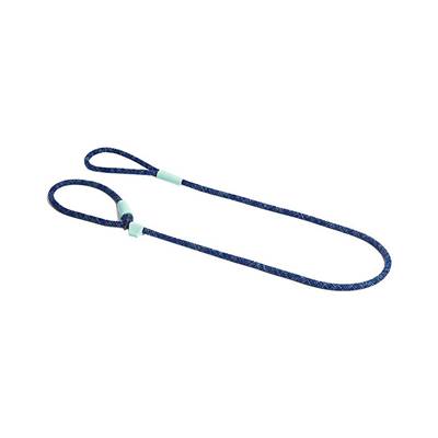 Guia Unificada para Cachorros Indigo U