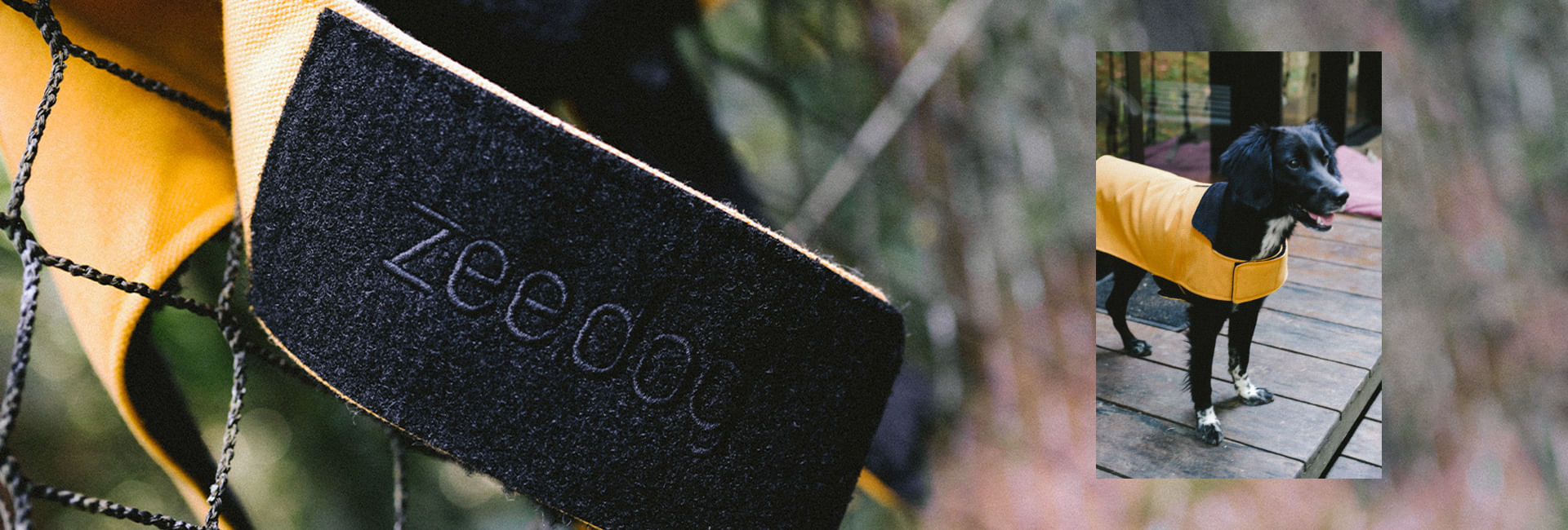 Casaco para Cachorros Amarelo | Lifestyle Images