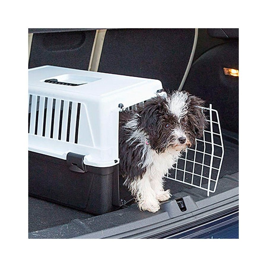 Caixa De Transporte Ferplast Atlas 20 para Cães e Gatos - Cores Sortidas 