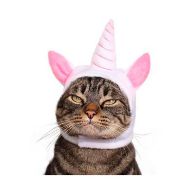 Fantasia de Unicórnio Cansei De Ser Gato U