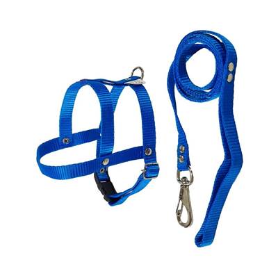 Peitoral com Guia Griff Dog Azul para Cães