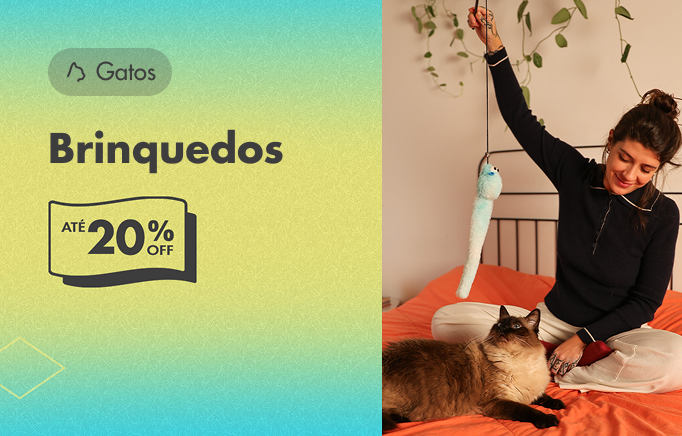 Brinquedos para Gatos